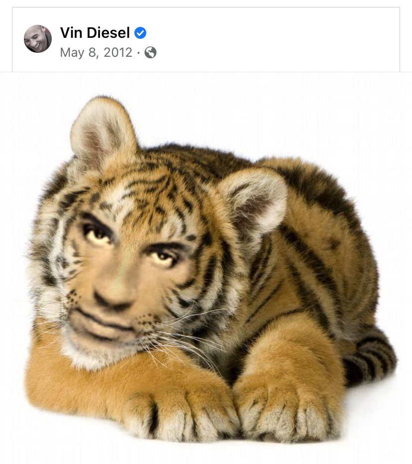 Vin Diesel tiger Blank Meme Template