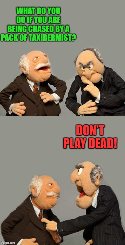 what not to do | image tagged in taxidermist,what not to do | made w/ Imgflip meme maker