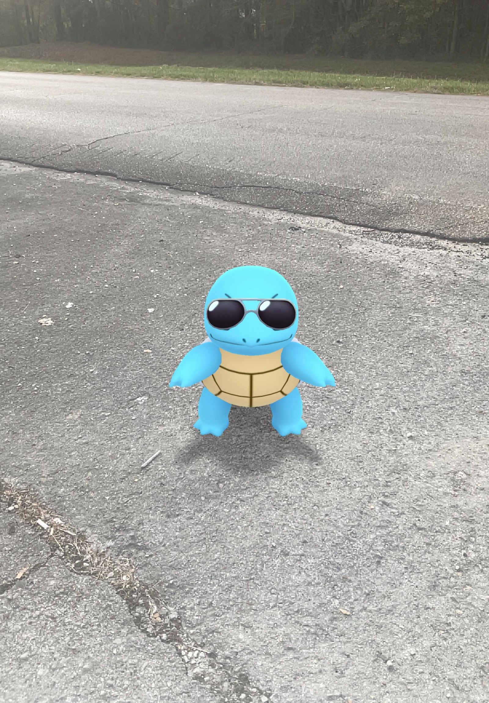 High Quality DJ Squirtle Blank Meme Template
