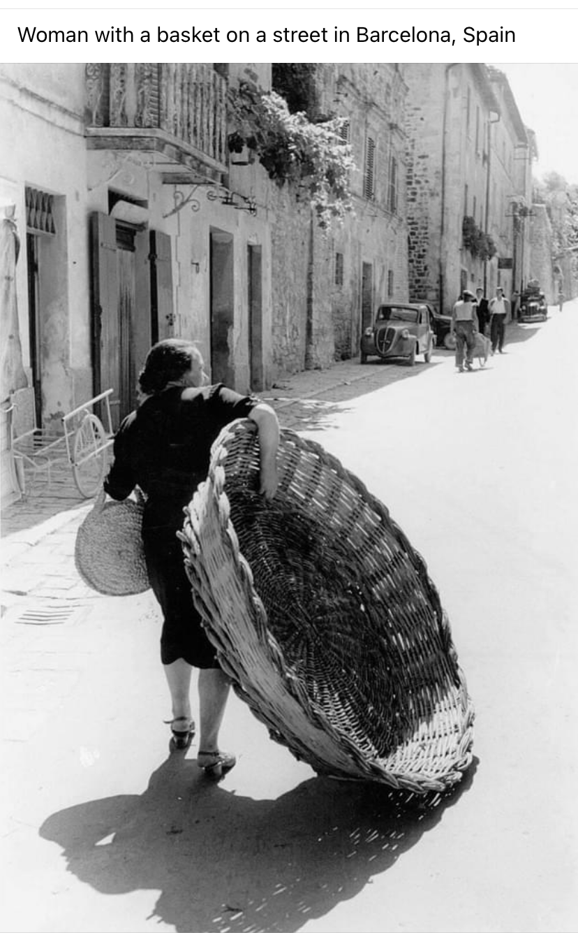 Woman with a basket Blank Meme Template