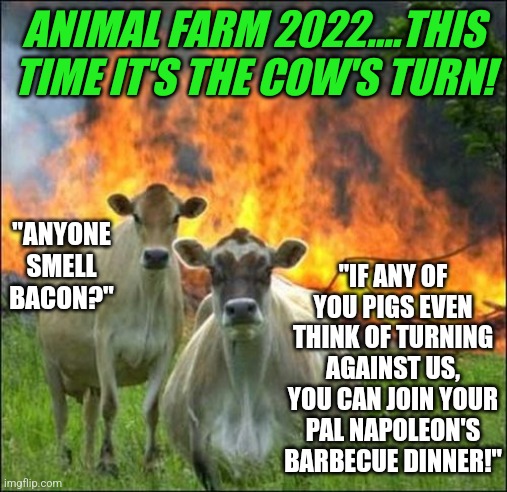 They are rebooting everything else.....why not? | ANIMAL FARM 2022....THIS TIME IT'S THE COW'S TURN! "IF ANY OF YOU PIGS EVEN THINK OF TURNING AGAINST US, YOU CAN JOIN YOUR PAL NAPOLEON'S BARBECUE DINNER!"; "ANYONE SMELL BACON?" | image tagged in memes,evil cows,animal farm,reboot,hollywood | made w/ Imgflip meme maker