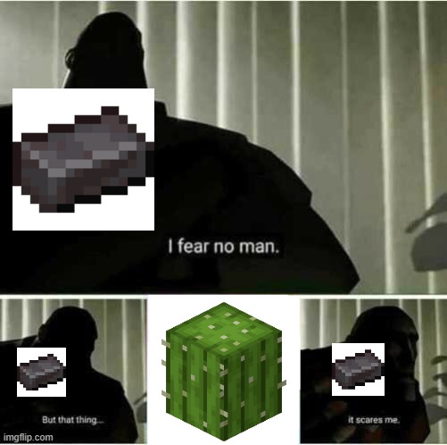 I fear no man | image tagged in i fear no man,minecraft,netherite | made w/ Imgflip meme maker