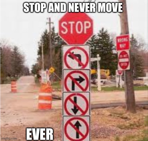 Never move. EVER MUAHAHA | STOP AND NEVER MOVE; EVER | image tagged in no you can t move | made w/ Imgflip meme maker
