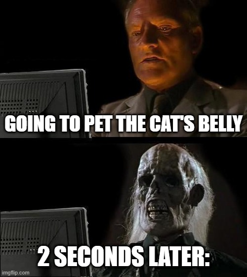 if you have a cat you understand | GOING TO PET THE CAT'S BELLY; 2 SECONDS LATER: | image tagged in memes,i'll just wait here | made w/ Imgflip meme maker