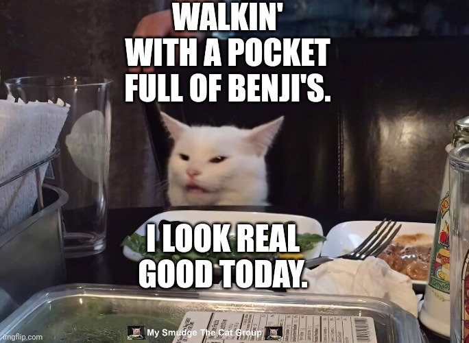 WALKIN' WITH A POCKET FULL OF BENJI'S. I LOOK REAL GOOD TODAY. | image tagged in smudge the cat | made w/ Imgflip meme maker