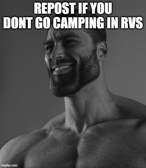 Giga Chad | REPOST IF YOU DONT GO CAMPING IN RVS | image tagged in giga chad | made w/ Imgflip meme maker