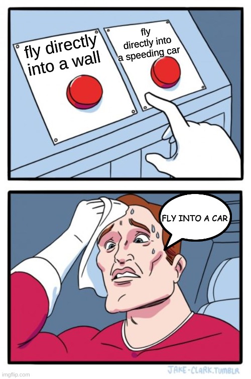 Two Buttons | fly directly into a speeding car; fly directly into a wall; FLY INTO A CAR | image tagged in memes,two buttons | made w/ Imgflip meme maker