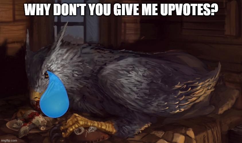 Buckbeak | WHY DON'T YOU GIVE ME UPVOTES? | image tagged in buckbeak | made w/ Imgflip meme maker