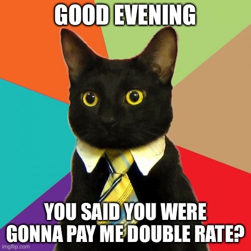 Business Cat | GOOD EVENING; YOU SAID YOU WERE GONNA PAY ME DOUBLE RATE? | image tagged in memes,business cat | made w/ Imgflip meme maker