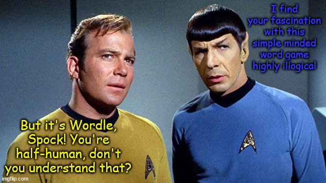 Fascinating? | I find your fascination with this simple minded word game highly illogical; But it's Wordle, Spock! You're half-human, don't you understand that? | image tagged in memes,funny | made w/ Imgflip meme maker