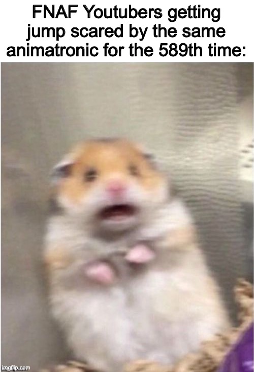 fnaf you tubers be like | FNAF Youtubers getting jump scared by the same animatronic for the 589th time: | image tagged in scared hamster,fnaf,youtube | made w/ Imgflip meme maker