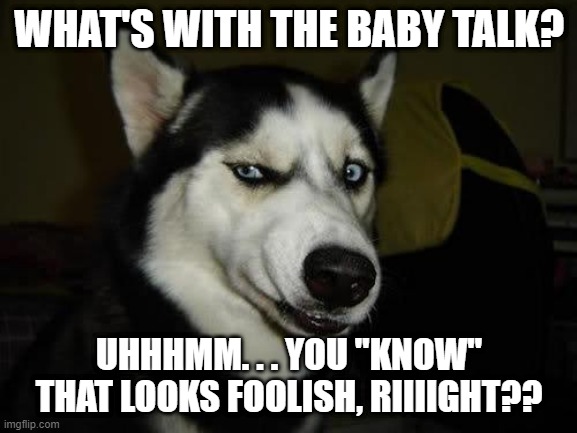What's with the baby talk? | WHAT'S WITH THE BABY TALK? UHHHMM. . . YOU "KNOW" THAT LOOKS FOOLISH, RIIIIGHT?? | image tagged in funny dog,annoyed dog,really,oh really | made w/ Imgflip meme maker
