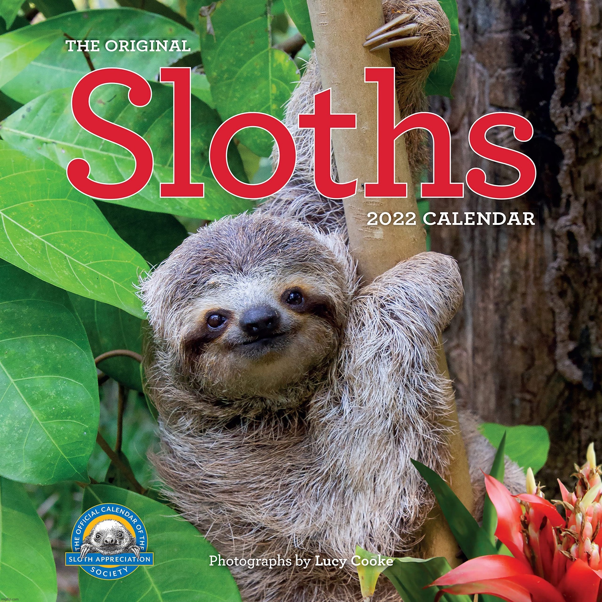 Sloths 2022 calendar | image tagged in sloths 2022 calendar | made w/ Imgflip meme maker