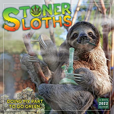 v rare self-cringe | image tagged in stoner sloths 2022 calendar | made w/ Imgflip meme maker