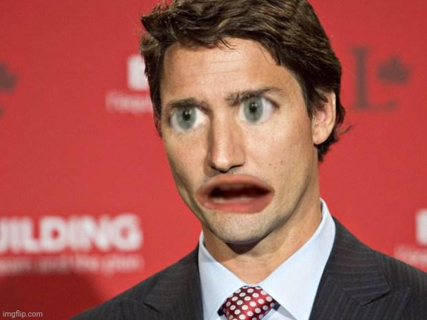 Trudeau | image tagged in trudeau | made w/ Imgflip meme maker
