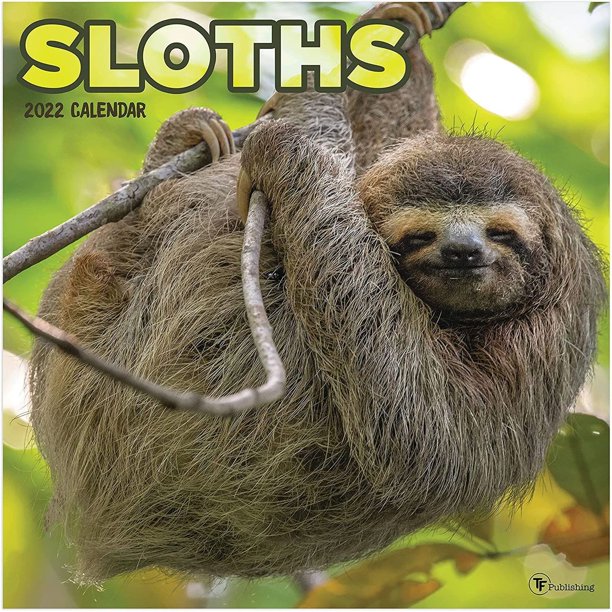 Sloths 2022 calendar Blank Meme Template