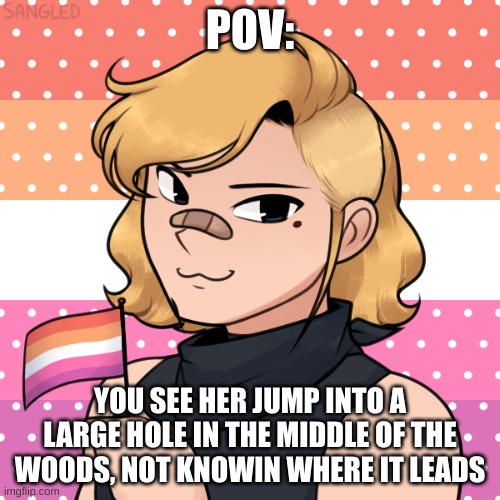 you either have to look or have to follow her for this roleplay to continue. enjoy! | POV:; YOU SEE HER JUMP INTO A LARGE HOLE IN THE MIDDLE OF THE WOODS, NOT KNOWIN WHERE IT LEADS | made w/ Imgflip meme maker