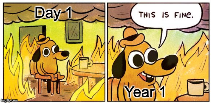 It's Fine | Day 1; Year 1 | image tagged in memes,this is fine | made w/ Imgflip meme maker