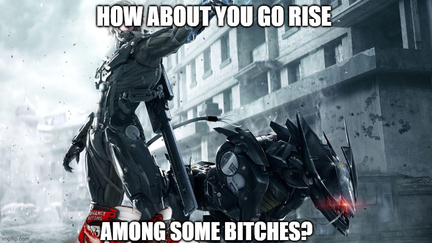 Metal Gear Rising: Revengeance be like |  HOW ABOUT YOU GO RISE; AMONG SOME BITCHES? | image tagged in funny,fun,metal gear,metal gear solid | made w/ Imgflip meme maker