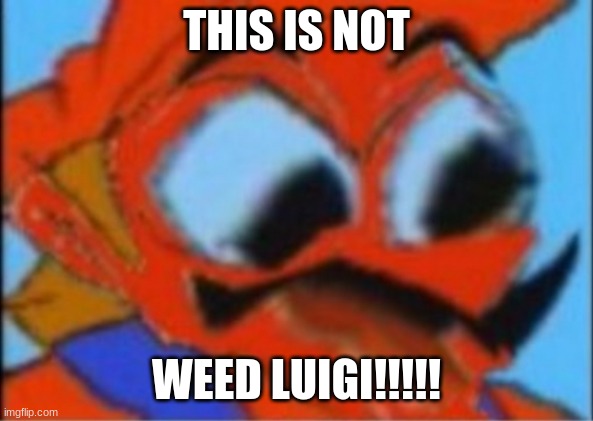 LUIGI THIS ISNT WEED | THIS IS NOT WEED LUIGI!!!!! | image tagged in luigi this isnt weed | made w/ Imgflip meme maker