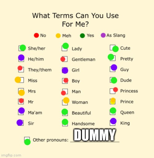 Hi | DUMMY | image tagged in pronouns sheet | made w/ Imgflip meme maker