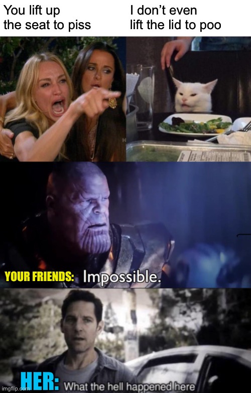 You lift up the seat to piss; I don’t even lift the lid to poo; YOUR FRIENDS:; HER: | image tagged in memes,woman yelling at cat,thanos impossible,what the hell happened here | made w/ Imgflip meme maker