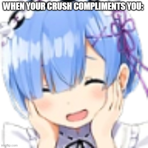 wholesome crush memes | WHEN YOUR CRUSH COMPLIMENTS YOU: | image tagged in wholesome,relatable,relateable,relatable memes,relationships,blushing | made w/ Imgflip meme maker