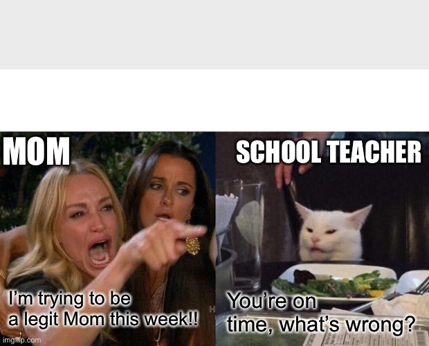 I’m trying | MOM; SCHOOL TEACHER; I’m trying to be a legit Mom this week!! You’re on time, what’s wrong? | image tagged in memes,woman yelling at cat | made w/ Imgflip meme maker