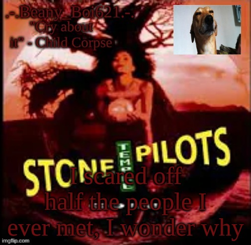 Stoner Beany | I scared off half the people I ever met, I wonder why | image tagged in stoner beany | made w/ Imgflip meme maker