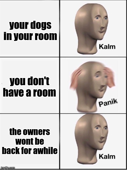 pulled a sneaky on ya | your dogs in your room; you don't have a room; the owners won't be back for awhile | image tagged in reverse kalm panik | made w/ Imgflip meme maker