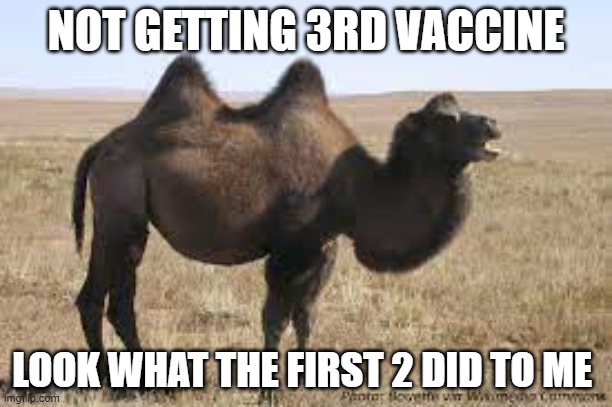 hump day | NOT GETTING 3RD VACCINE; LOOK WHAT THE FIRST 2 DID TO ME | made w/ Imgflip meme maker