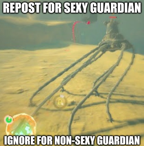 REPOST FOR SEXY GUARDIAN; IGNORE FOR NON-SEXY GUARDIAN | made w/ Imgflip meme maker