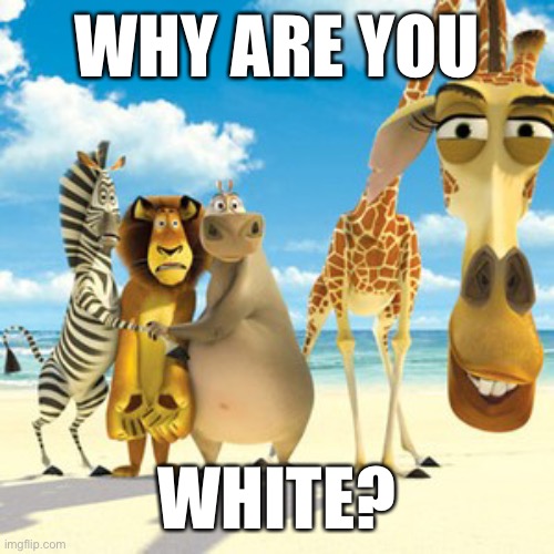 twiter | WHY ARE YOU; WHITE? | made w/ Imgflip meme maker