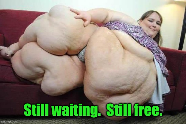 fat girl | Still waiting.  Still free. | image tagged in fat girl | made w/ Imgflip meme maker