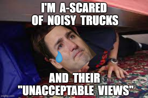 I'M  A-SCARED  OF  NOISY  TRUCKS; AND  THEIR  "UNACCEPTABLE  VIEWS" | image tagged in justin trudeau,truckers,freedom rally,plandemic | made w/ Imgflip meme maker