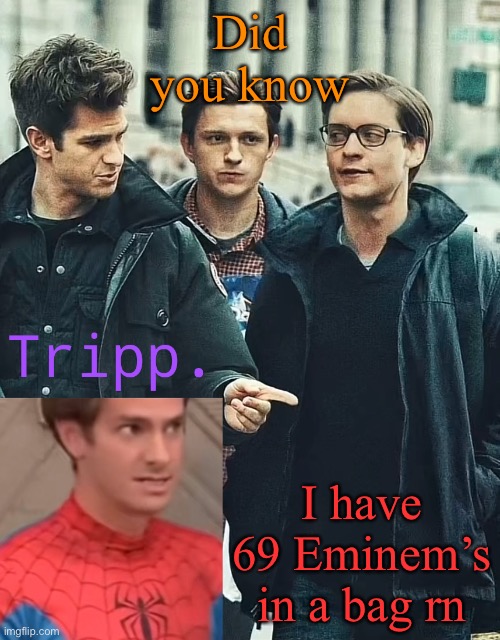 ? | Did you know; I have 69 Eminem’s in a bag rn | image tagged in tripp spooderman | made w/ Imgflip meme maker