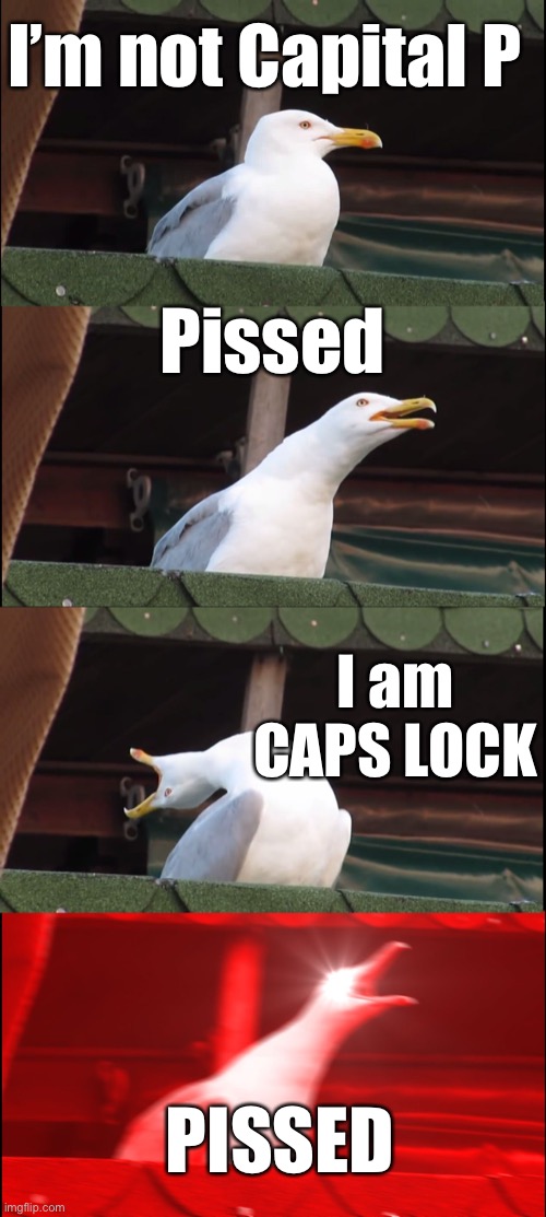 Pissed | I’m not Capital P; Pissed; I am CAPS LOCK; PISSED | image tagged in memes,inhaling seagull | made w/ Imgflip meme maker