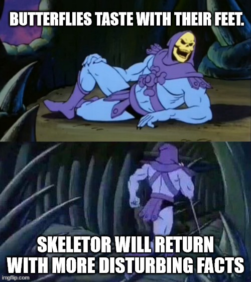 Skeletor | BUTTERFLIES TASTE WITH THEIR FEET. SKELETOR WILL RETURN WITH MORE DISTURBING FACTS | image tagged in skeletor disturbing facts | made w/ Imgflip meme maker
