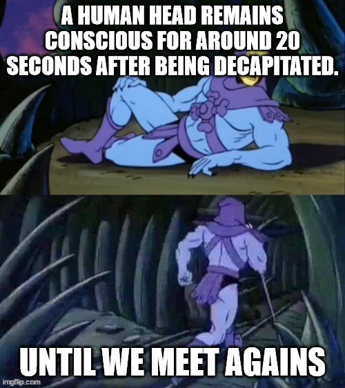Scary Facts | A HUMAN HEAD REMAINS CONSCIOUS FOR AROUND 20 SECONDS AFTER BEING DECAPITATED. UNTIL WE MEET AGAINS | image tagged in skeletor disturbing facts | made w/ Imgflip meme maker