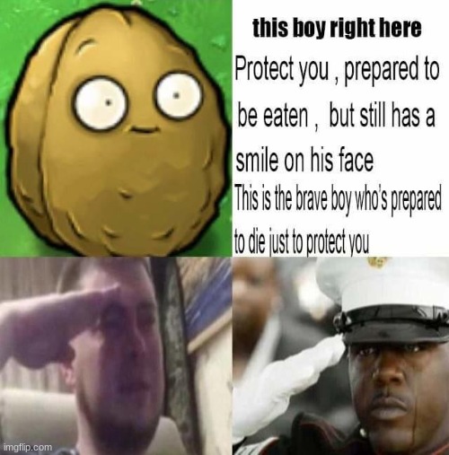the brave nut | image tagged in nut,wall | made w/ Imgflip meme maker