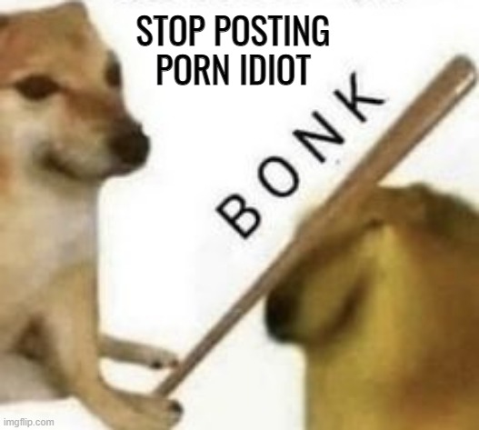 Bonk | STOP POSTING PORN IDIOT | image tagged in bonk | made w/ Imgflip meme maker