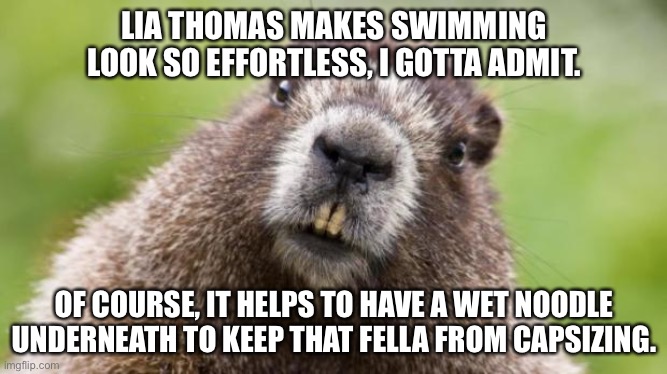 Wet noodle is helpful for swimming in the pool | LIA THOMAS MAKES SWIMMING LOOK SO EFFORTLESS, I GOTTA ADMIT. OF COURSE, IT HELPS TO HAVE A WET NOODLE UNDERNEATH TO KEEP THAT FELLA FROM CAPSIZING. | image tagged in mr beaver,memes,lia thomas,transgender,will,swimming | made w/ Imgflip meme maker