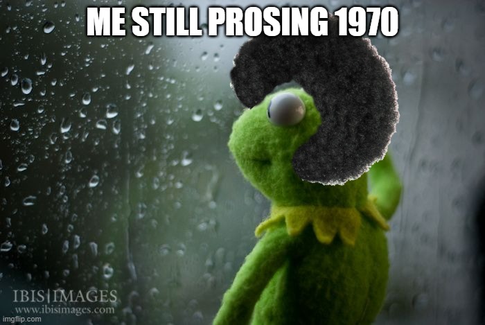 ehhhhhh | ME STILL PROSING 1970 | image tagged in kermit window,ahhhhhhhhhhhhh | made w/ Imgflip meme maker