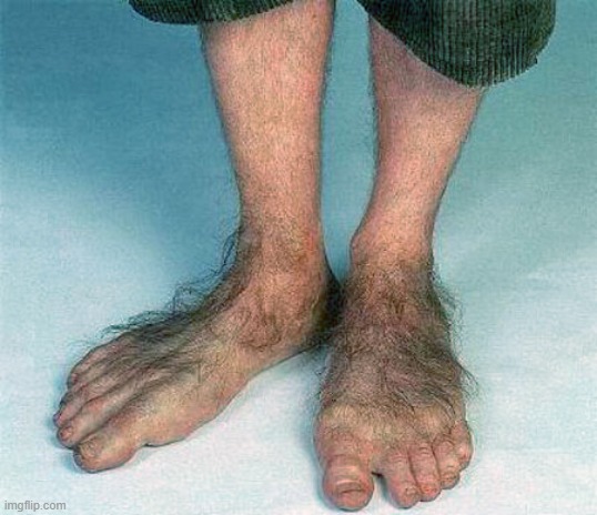 Hairy feet  | image tagged in hairy feet | made w/ Imgflip meme maker