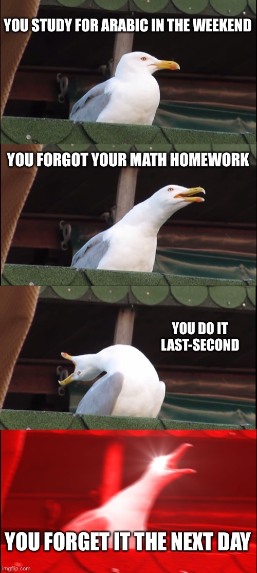 Based off a true story | YOU STUDY FOR ARABIC IN THE WEEKEND; YOU FORGOT YOUR MATH HOMEWORK; YOU DO IT LAST-SECOND; YOU FORGET IT THE NEXT DAY | image tagged in memes,inhaling seagull | made w/ Imgflip meme maker