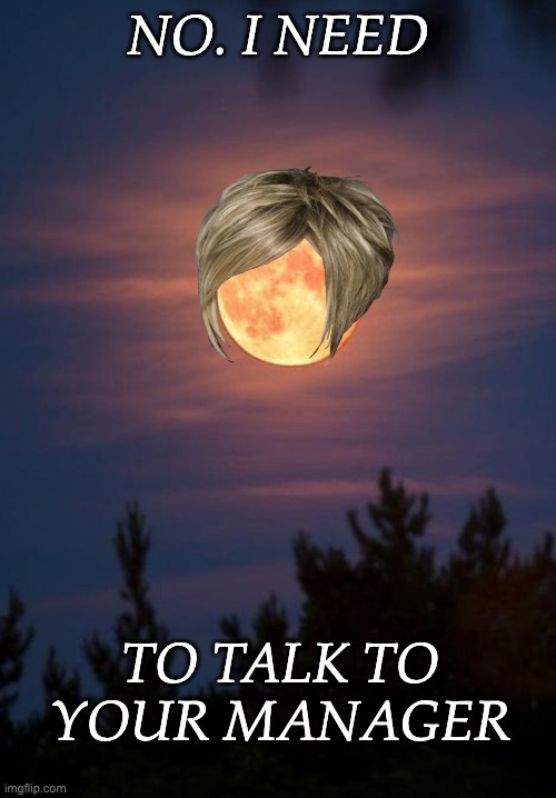 Full Moon | NO. I NEED; TO TALK TO YOUR MANAGER | image tagged in full moon | made w/ Imgflip meme maker