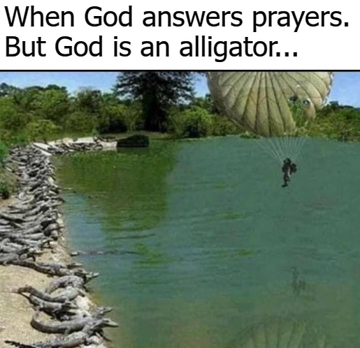 When God answers prayers.
But God is an alligator... | image tagged in blessed be | made w/ Imgflip meme maker