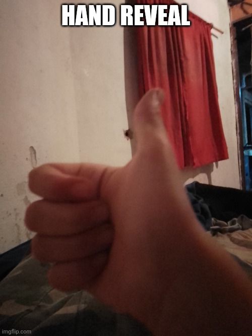 HAND REVEAL | made w/ Imgflip meme maker
