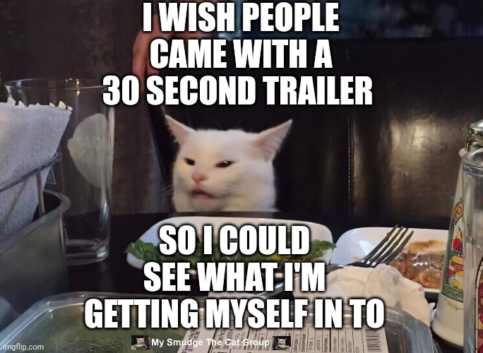  I WISH PEOPLE CAME WITH A 30 SECOND TRAILER; SO I COULD SEE WHAT I'M GETTING MYSELF IN TO | image tagged in smudge the cat | made w/ Imgflip meme maker
