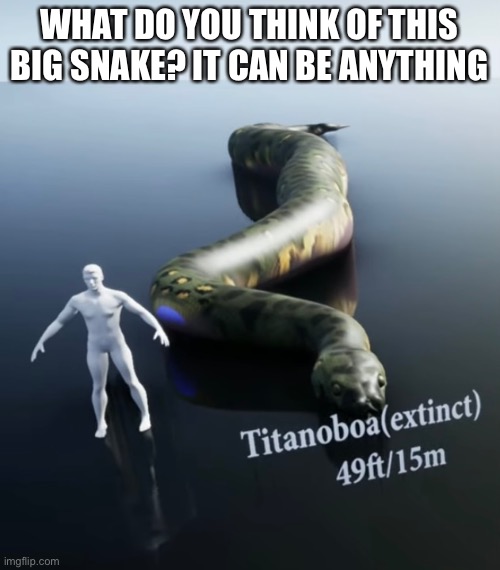 WHAT DO YOU THINK OF THIS BIG SNAKE? IT CAN BE ANYTHING | image tagged in hmmm | made w/ Imgflip meme maker